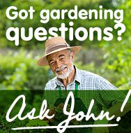 Ask John