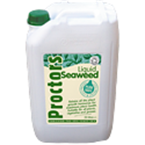 Proctors 'Cold Pressed' Liquid Seaweed 5 litres